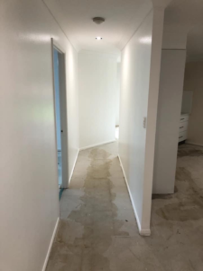 Hallway Painting - Manly West - All White